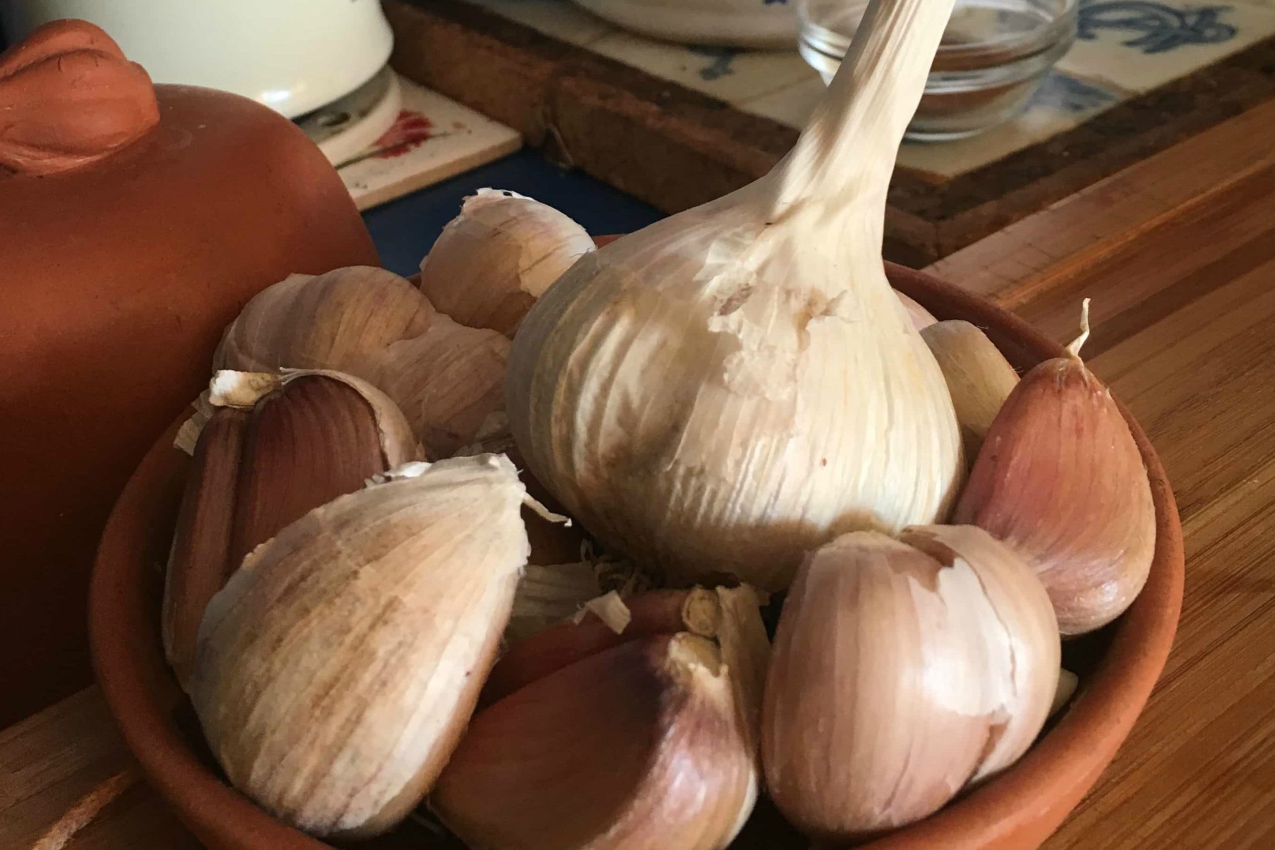 Heirloom Garlic Seeds Now For Sale